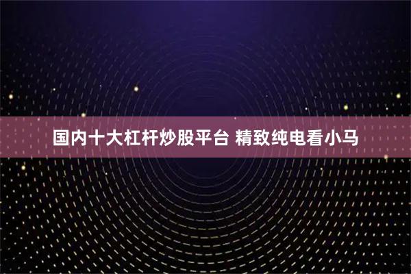 国内十大杠杆炒股平台 精致纯电看小马