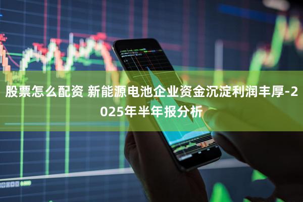 股票怎么配资 新能源电池企业资金沉淀利润丰厚-2025年半年报分析
